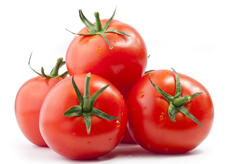 field_image_tomate_44